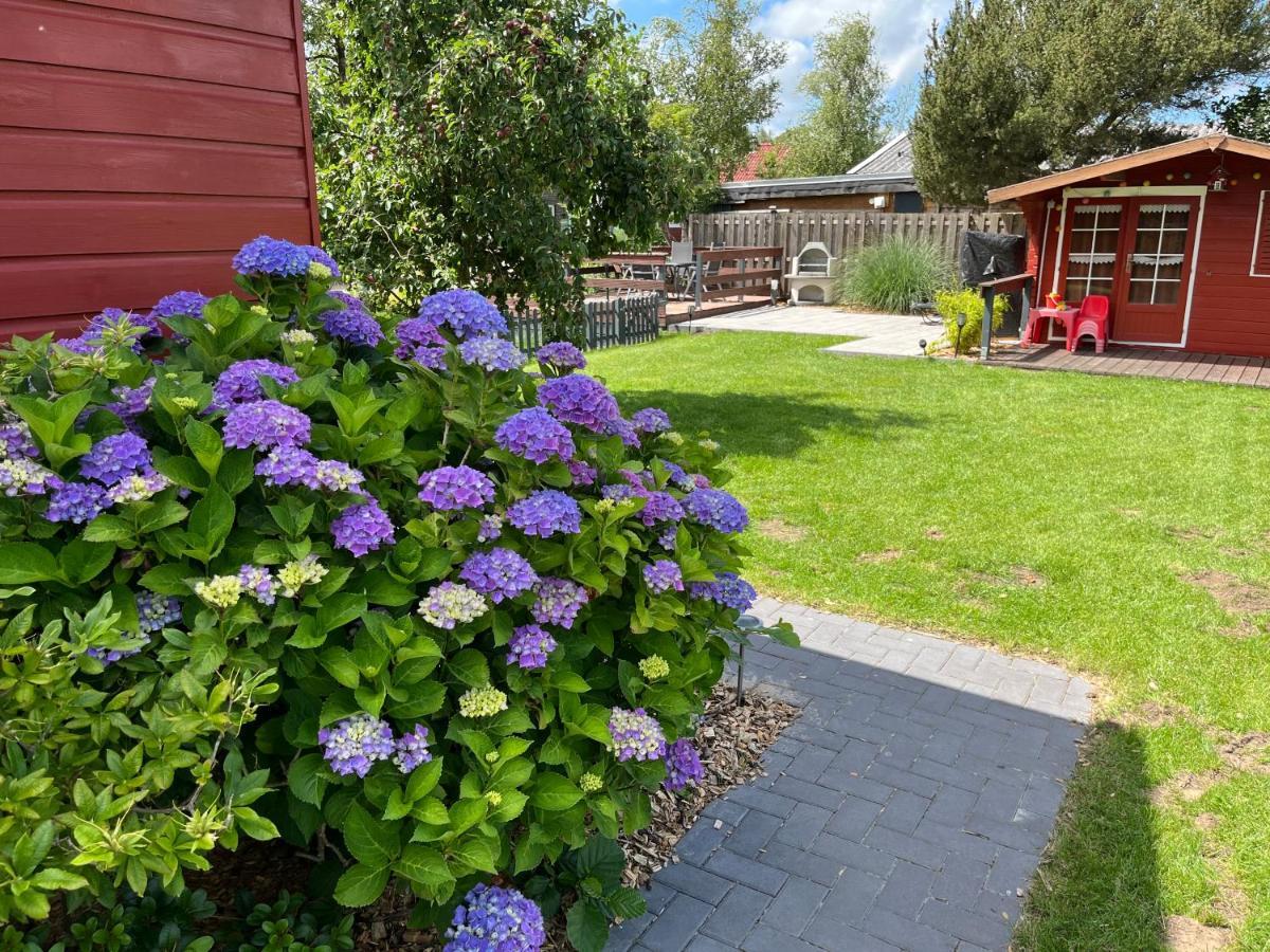 Meerbude Am Grossen Meer - Ferienhaus 서드부룩멜랜드 외부 사진
